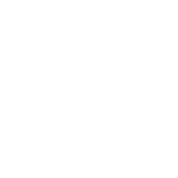 Podit