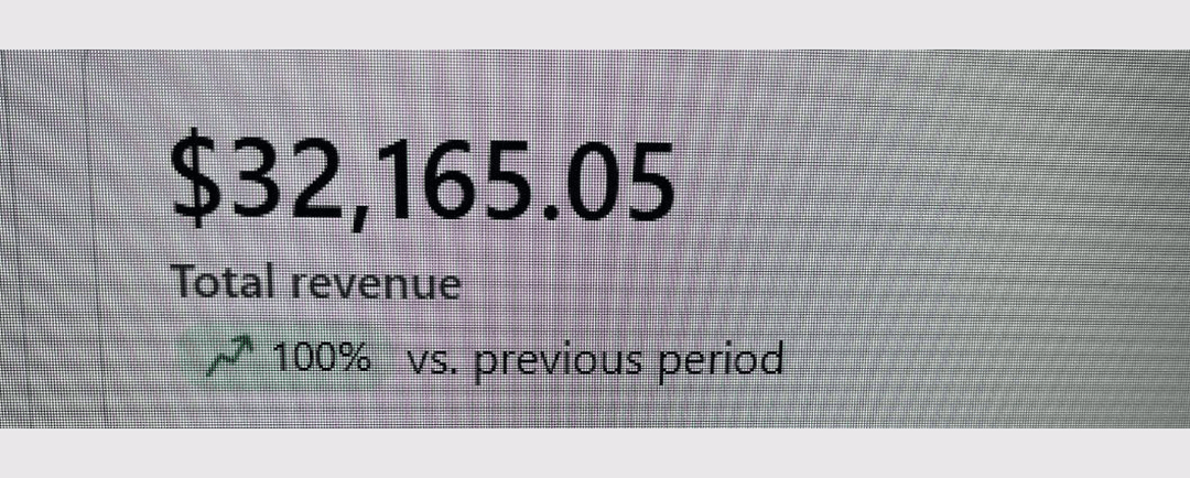 Total revenue $32,165.05, up 100%